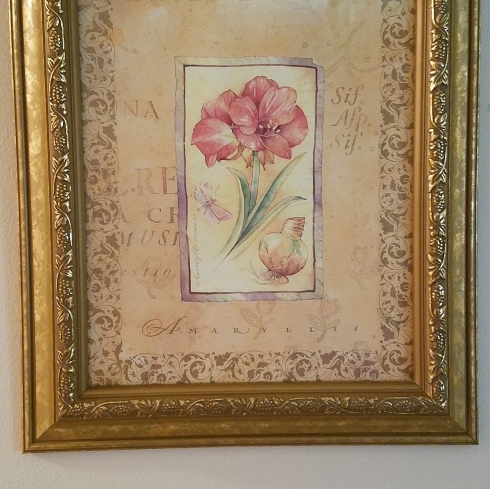 Framed picture